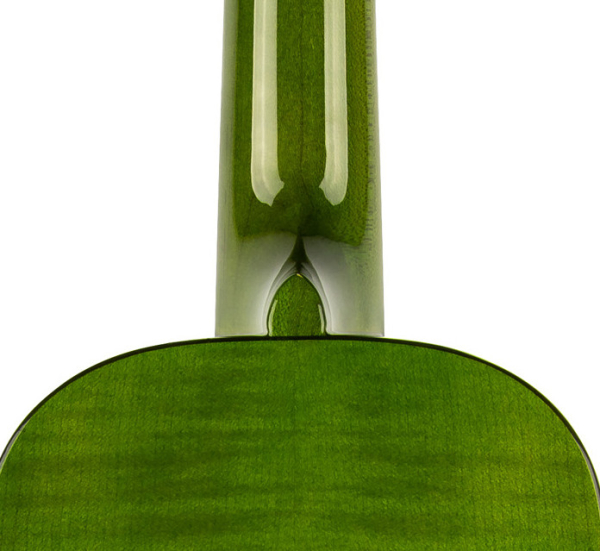 Ortega RUPR-IVY